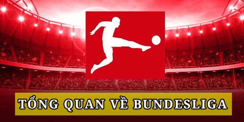 Tổng quan về kèo bóng đá Đức