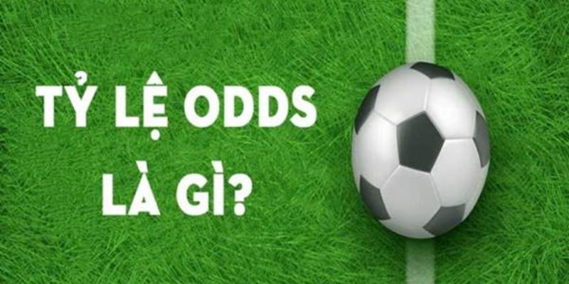 Odds trong bóng đá là gì
