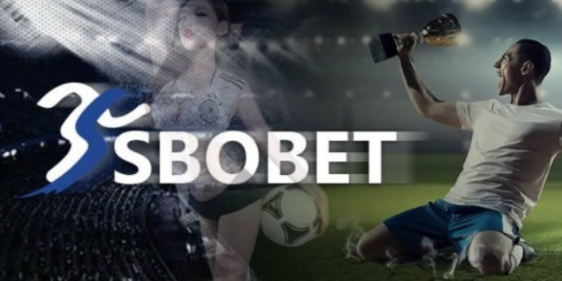 Bí quyết tăng cường tỷ lệ
