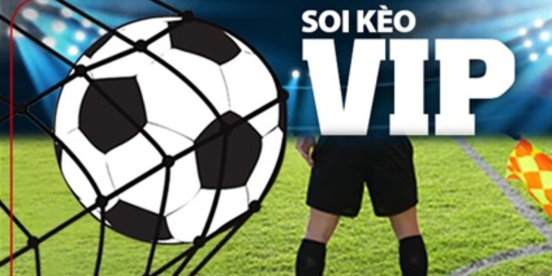 Các loại soi kèo phổ biến