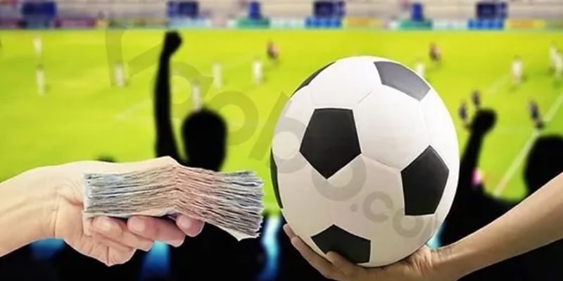 Hành trình phát triển về chúng tôi